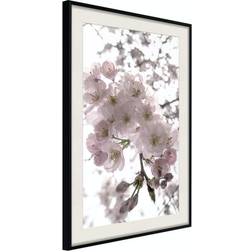 Arkiio Affisch Cherry Blossoms [Poster] 40x60 Poster